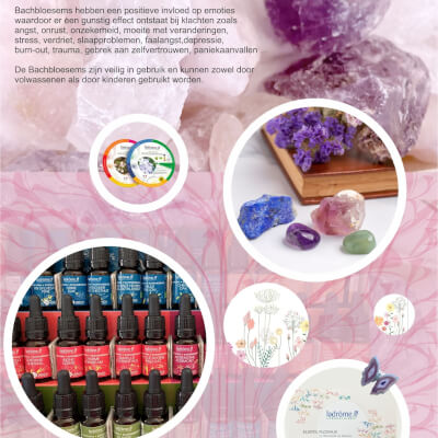 Desmet, Lesley Lesley Desmet